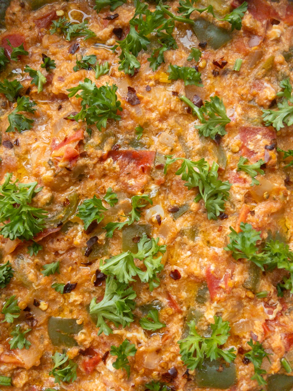 Close up of menemen