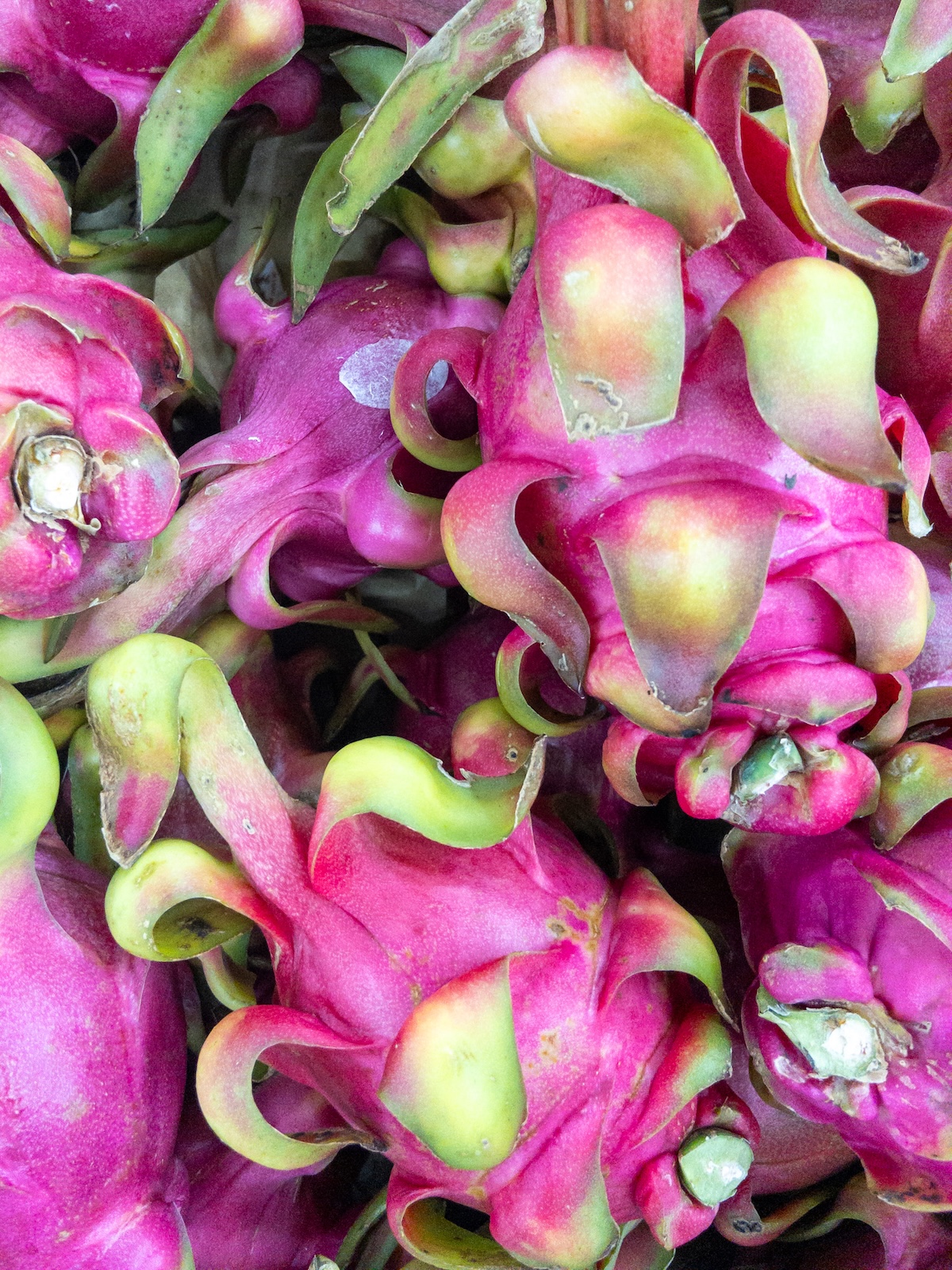 Many dragon fruit in a supermarket
